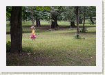 29 - 06 Patruland prin parc * 640 x 428 * (93KB)